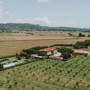 Terra Di Cortona